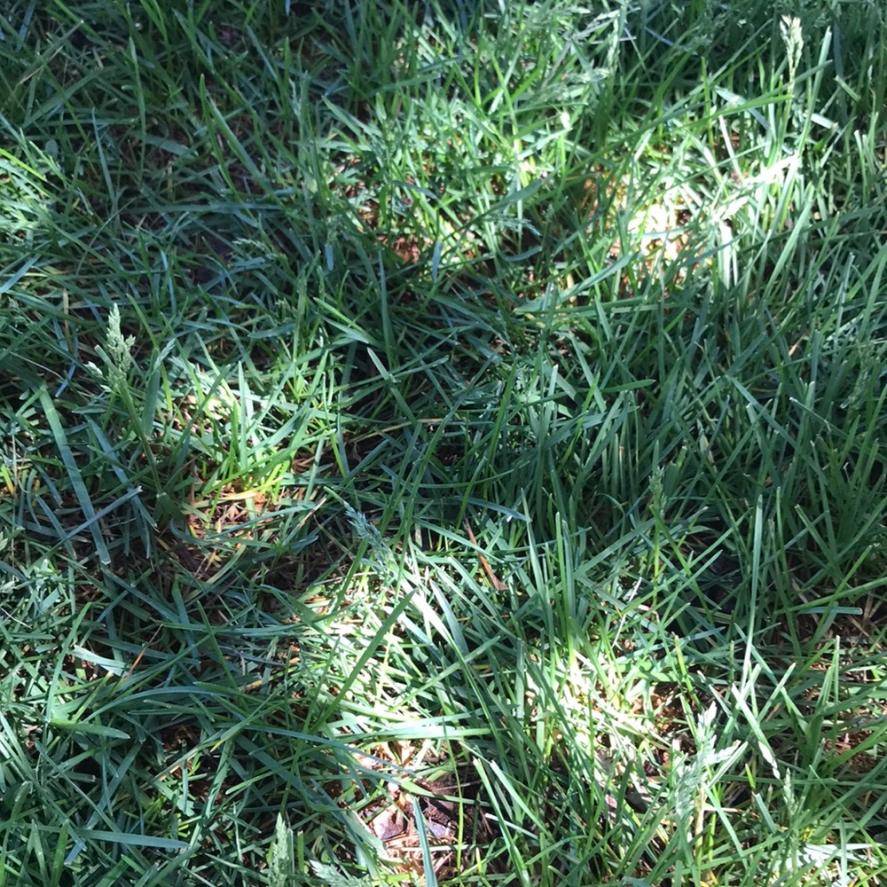 Meet your Posher, Maribel